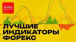 nailuchshij-indikator-na-forekse-podrobnyj-obzor-i-rekomendacii